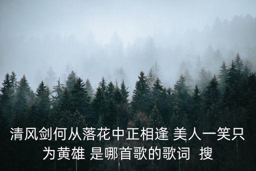 清風劍何從落花中正相逢 美人一笑只為黃雄 是哪首歌的歌詞  搜