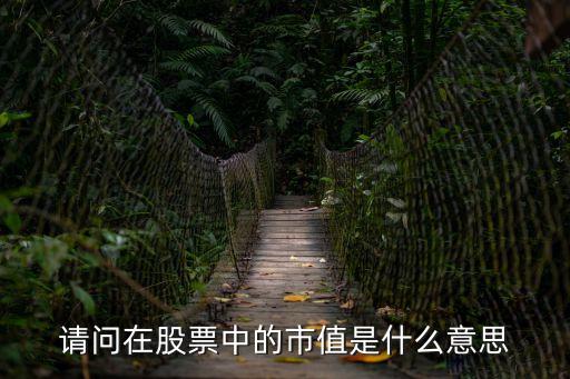 股票市值什么意思，請問在股票中的市值是什么意思