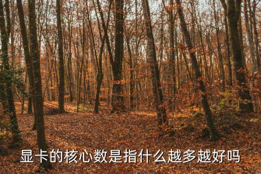 核心數，核心數是什么意思