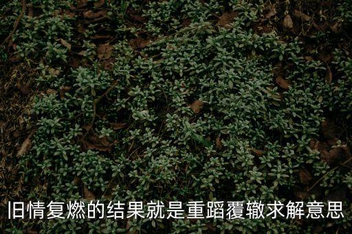 重蹈覆轍的意思，舊情復燃的結果就是重蹈覆轍求解意思