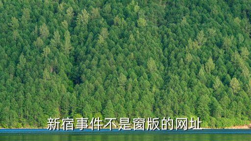 新宿事件不是窗版的網(wǎng)址