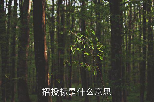招投標是什么意思，招投標是什么意思