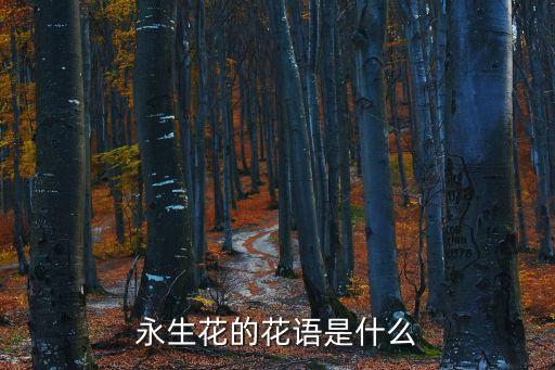 永生花的花語(yǔ)是什么
