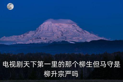 電視劇天下第一里的那個柳生但馬守是柳升宗嚴(yán)嗎