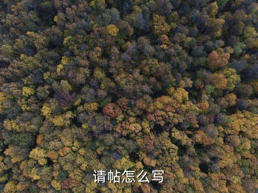 請貼，請貼怎么寫啊
