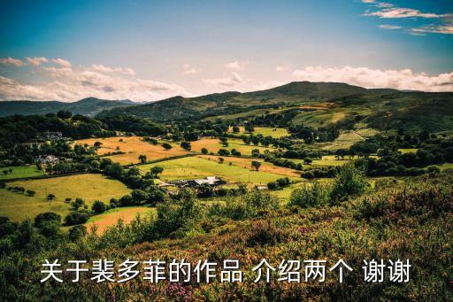 裴多菲簡介，關于裴多菲的作品 介紹兩個 謝謝