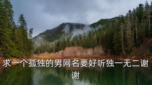 求一個孤獨的男網名要好聽獨一無二謝謝