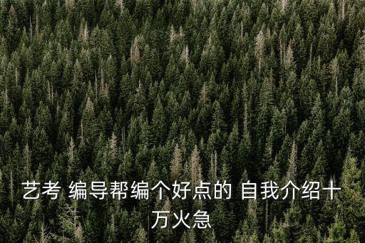 編導自我介紹,第一次投票選擇競選廣播電視頻道主持人