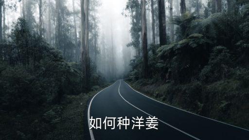 如何種洋姜