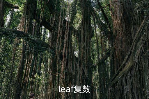 leaf復(fù)數(shù)，leaf的復(fù)數(shù)