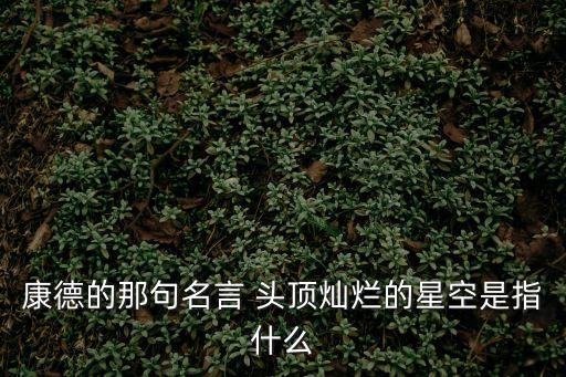 康德的那句名言 頭頂燦爛的星空是指什么
