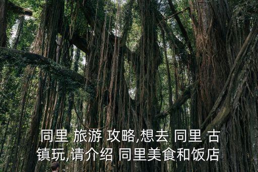  同里 旅游 攻略,想去 同里 古鎮玩,請介紹 同里美食和飯店