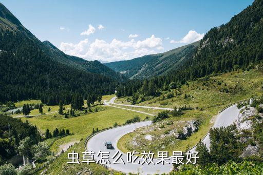  蟲草怎么吃效果最好