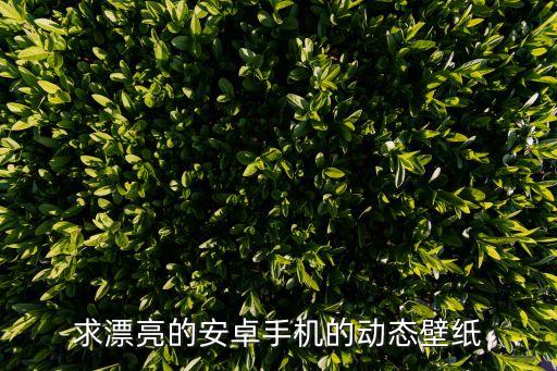 炫酷動(dòng)態(tài)壁紙，求酷炫手機(jī)壁紙要?jiǎng)勇呢Q屏越多越好