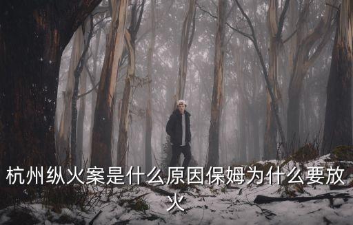 杭州縱火案是什么原因保姆為什么要放火
