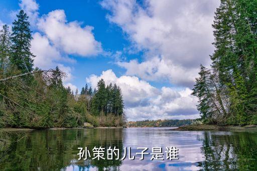 孫策的兒子，孫策和大喬生了幾個孩子