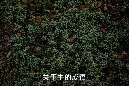 牛有關的成語，關于牛的成語