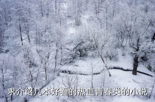 求介紹幾本好看的熱血青春類的小說