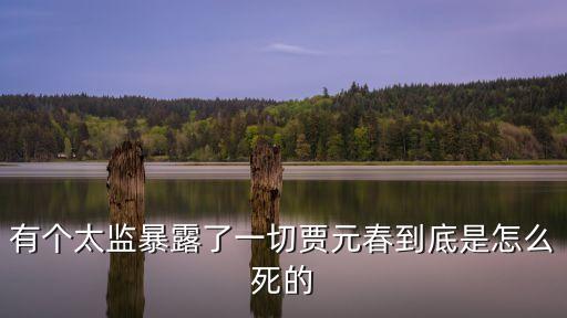 賈元春怎么死的，紅樓夢(mèng)中賈元春是怎么死的