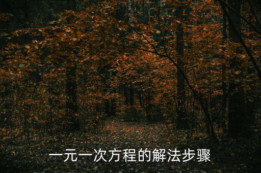 一元一次方程教學視頻，一元一次方程怎么做