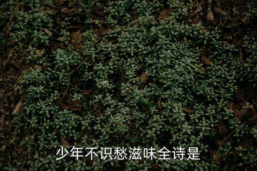 少年不識愁滋味全詩是