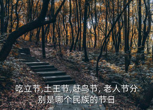 吃立節,土王節,趕鳥節, 老人節分別是哪個民族的節日
