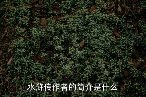 水滸傳作者的簡(jiǎn)介是什么