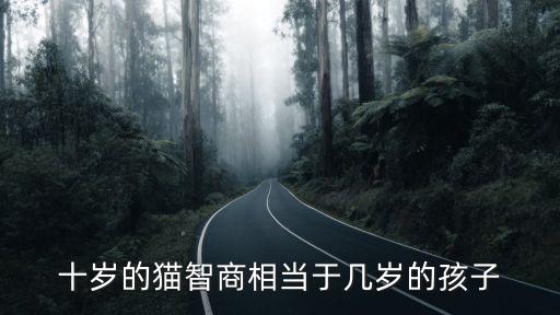 十歲的貓智商相當于幾歲的孩子
