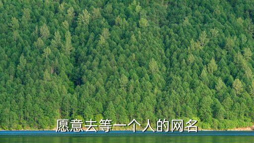 等一個(gè)人的網(wǎng)名，有關(guān)于等一個(gè)人的網(wǎng)名