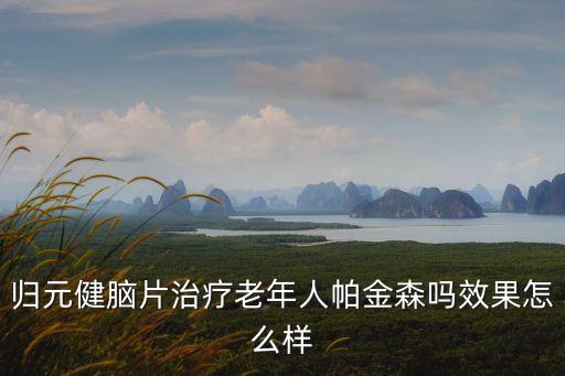 歸元健腦片，尊敬的醫師您好請問一下歸元健腦片是否好用