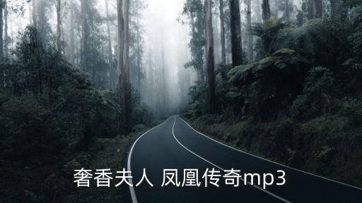 鳳凰傳奇奢香夫人，鳳凰傳奇唱的奢香夫人中什么意思