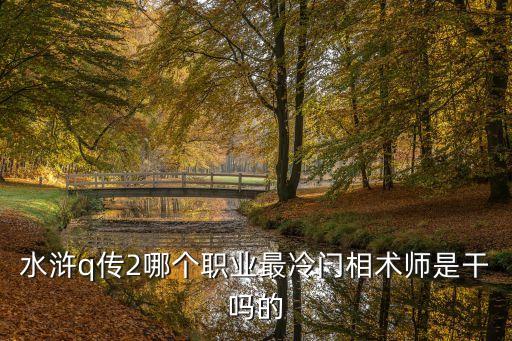 水滸q傳2哪個職業最冷門相術師是干嗎的