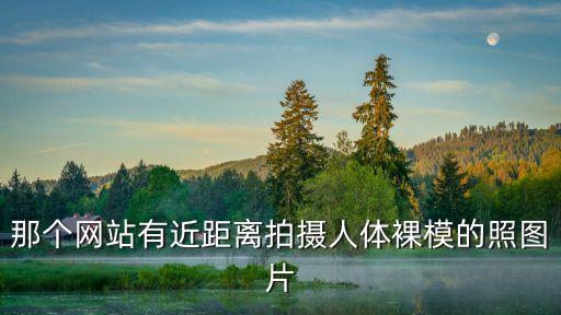 人體模特照片，那個(gè)網(wǎng)站有近距離拍攝人體裸模的照圖片