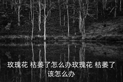 枯萎的花,窗邊的花枯萎了玻璃窗外的花干燥了
