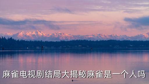 麻雀劇情介紹，麻雀的簡介 50字