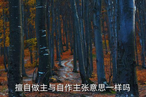擅自的意思，擅自什么意思