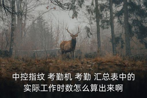中控指紋 考勤機 考勤 匯總表中的實際工作時數(shù)怎么算出來啊