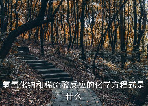 氫氧化鈉和稀硫酸反應(yīng)的化學(xué)方程式是什么