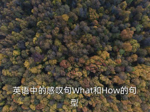 英語中的感嘆句What和How的句型