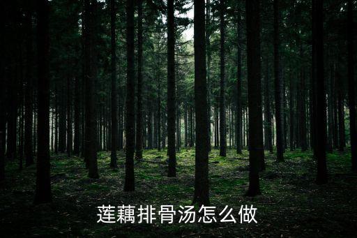 蓮藕排骨，蓮藕燉排骨做法
