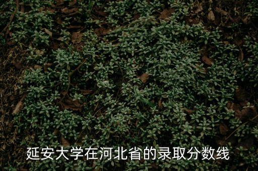 延安大學分數線，延安大學2010陜西投檔線理工