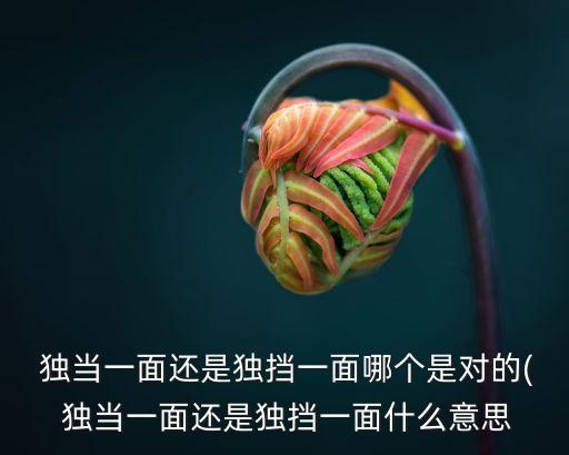 獨(dú)當(dāng)一面是什么意思,獨(dú)特一面和獨(dú)立之爭(zhēng)的回答