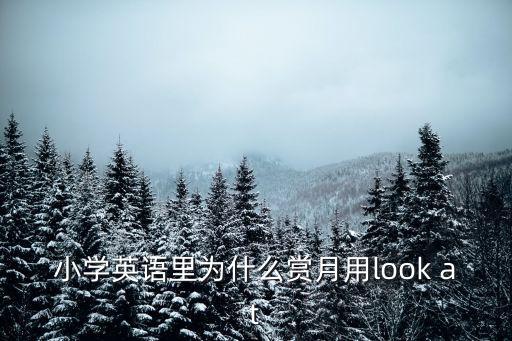 賞月的英文，賞月英語怎么說