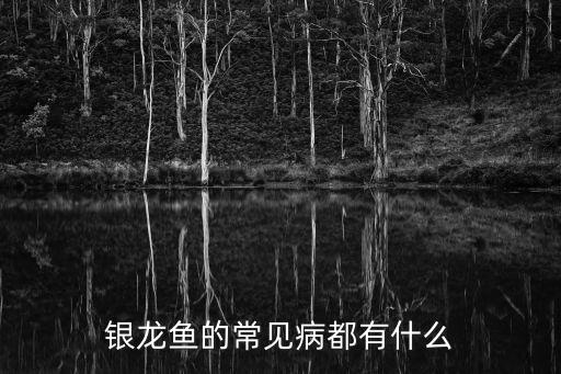 銀龍魚(yú)常見(jiàn)病，銀龍魚(yú)常見(jiàn)病