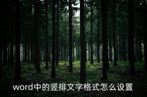word豎排文字怎么設(shè)置，如何在WORD中豎排文字