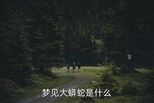 夢見大蟒蛇是什么