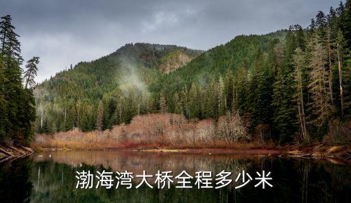 渤海灣大橋，渤海灣跨海大橋建了沒