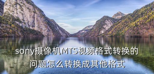 sony攝像機(jī)MTS視頻格式轉(zhuǎn)換的問(wèn)題怎么轉(zhuǎn)換成其他格式