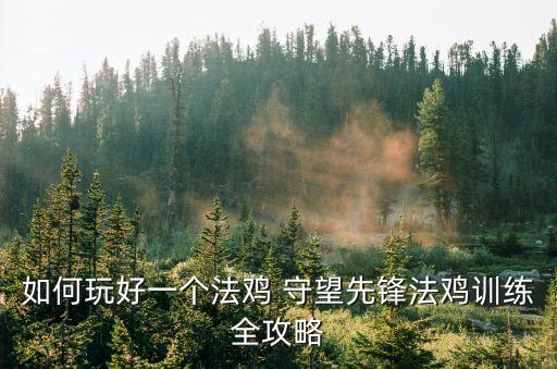 守望先鋒法雞，守望先鋒怎么針對法雞