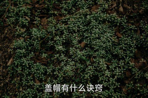 蓋帽有什么訣竅